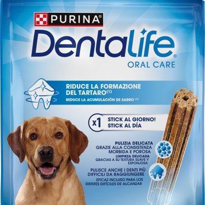Dentalife Large 142g