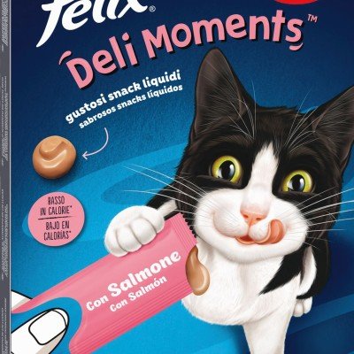 Felix Deli Moments Salmone 4x10g