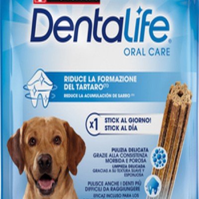 Dentalife Large 142g