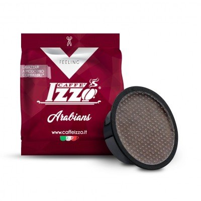 100 Arabians Izzo a Modo Mio